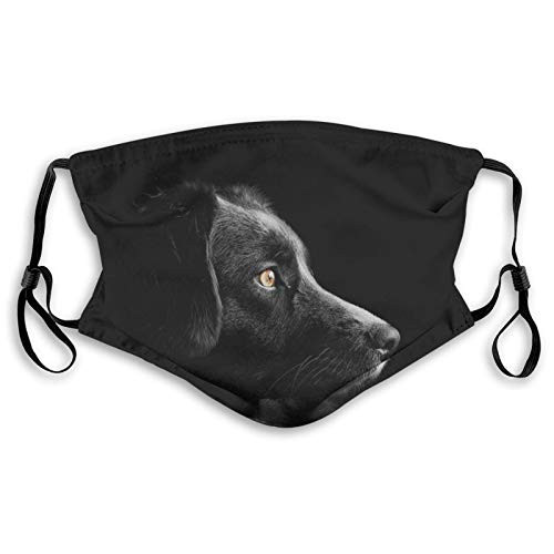 Fillter Cloth For adult and kidsBlack Dog?Reusable Windproof Cloth Half Face Double Protection Fillter Cloth For adult and kidsBlack Dog?Reusable Windproof Cloth Half Face Double Protection