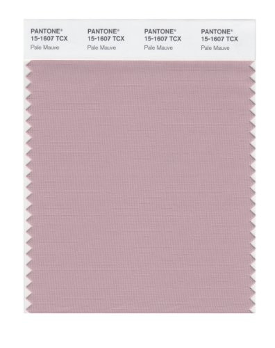 PANTONE SMART 15-1607X Color Swatch Card, Pale Mauve