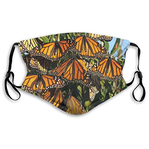 Fillter Face Cloth For anyoneMan and womanMonarch Butterflies?Cold Mouth Dustproof Double Protection Fillter Face Cloth For anyoneMan and womanMonarch Butterflies?Cold Mouth Dustproof Double Protection