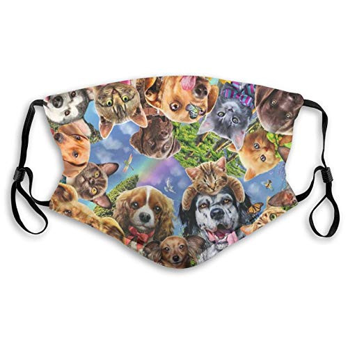 Fillter Face Cloth For anyoneMan and womanAnimal Selfie?Cold Mouth Dustproof Double Protection Fillter Face Cloth For anyoneMan and womanAnimal Selfie?Cold Mouth Dustproof Double Protection