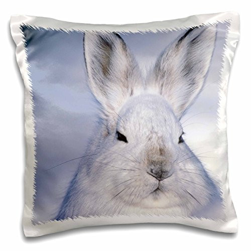 3D Rose Alaska-Anwr Snowshoe Hare Wildlife in Winter Fur-Us02 Hro0084-Hugh Rose Design Pillowcase, 16" x 16"