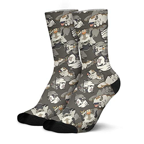 Men Long Crew Socks Appa Character White Fur Brown Custom Tube Socks for Hiking Running Sports