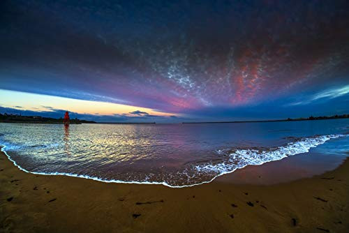 Posterazzi DPI12555454 Herd Groyne Lighthouse and Dramatic Sunset with Glowing Clouds and Tide Washing onto Beach in The Foreground South Shields Tyne and Wear England Photo Print 19 x 12 Multi