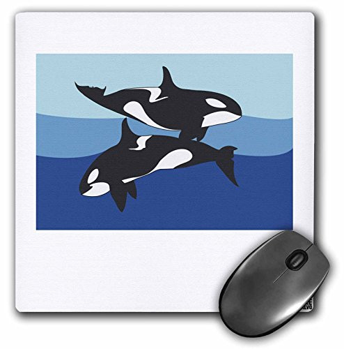 3dRose LLC 8 x 8 x 0.25 Inches Two Killer Whales without Caption Pattern Mouse Pad (mp_47370_1)