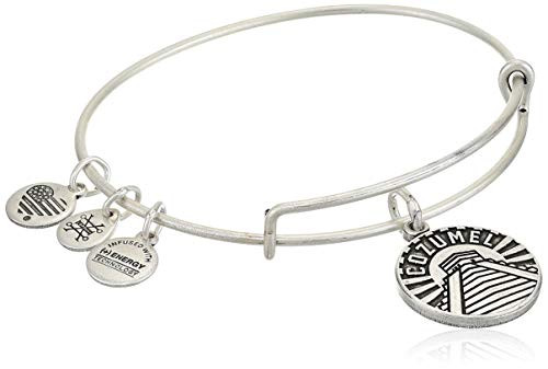 Alex And Ani Replenishment 19 Womens Cozumel Charm Bangle Rafaelian Silver