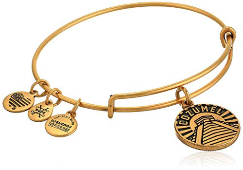 Alex And Ani Replenishment 19 Womens Cozumel Charm Bangle Rafaelian Gold