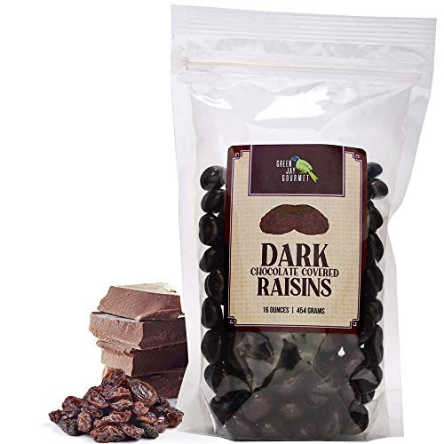 Green Jay Gourmet Dark Chocolate Raisins - Handmade  and  Fresh Dark Chocolate Covered Raisins - Great Gift for Chocolate Lovers - 16 Ounce Resealable Bag