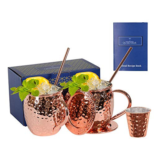 Moscow Mule Copper Mugs Set of 2 Hammered Cup 18oz Cocktail Beer Bar with Straws Jigger Coasters
