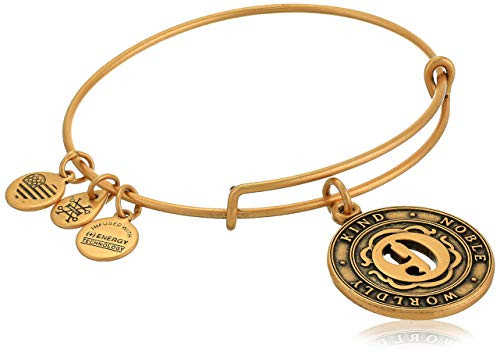 Alex And Ani Replenishment 19 Womens Numerology Number Nine Charm Bangle Rafaela Gold