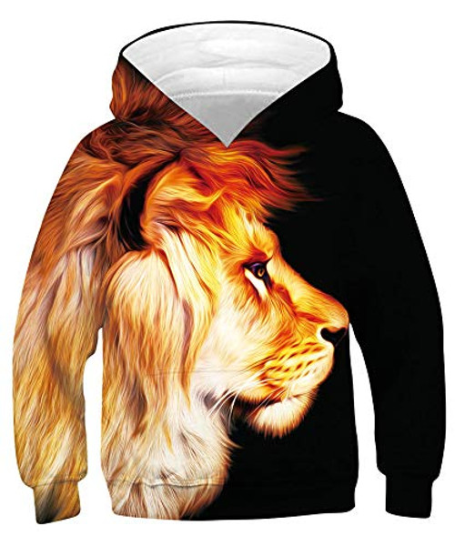 RAISEVERN Hoodies for Boys Girls Teen Kids Long Sleeve Pullover Sweatshirt Cool Graphic Cute Comfy Hoodies Funny Hooded Sweatshirts Fire Lion Hoody with Pocket 8-11 Years