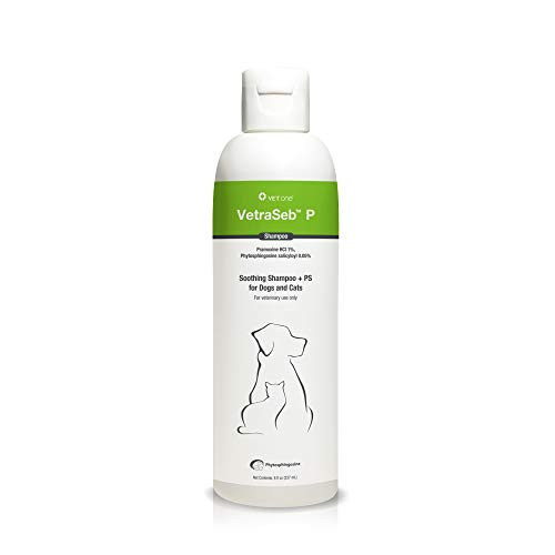 VetraSeb P Anti-Itch Shampoo for Dogs  and  Cats to Provide Relief  and  Protect Your Pets Skin 16 oz