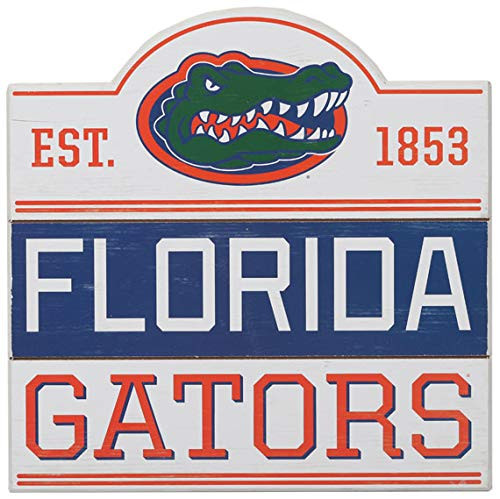 Open Road Brands University of Florida Gators Bump Planked Wood Wall Decor