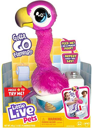 Gotta go Flamingo! Feed Sherbert Magic Food and When he Sings he has Gotta go Toilet! He Repeats What You say Also! You Wont be able to Stop Laughing  and  Singing Along_