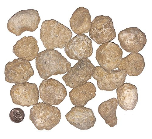 goldnuggetminer 20 Bulk Break Your Own Geodes - Discover Crystals Inside