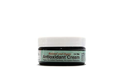 Natural and Vegan Antioxidant Cream with jojoba oil avocado oil rosehip seed oil and vitamins A B5 C  and  E by Kannaxa