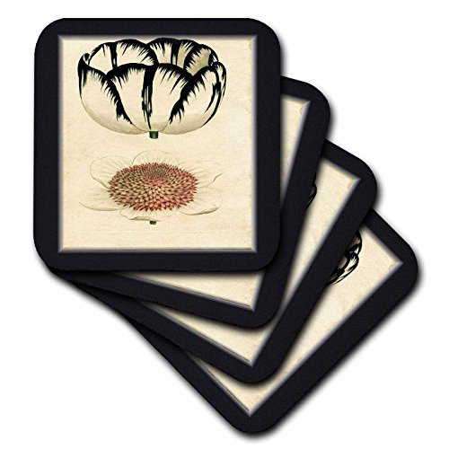 3dRose CST_43686_1 Black N White Botanical-Soft Coasters Set of 4 3dRose CST_43686_1 Black N White Botanical-Soft Coasters Set of 4