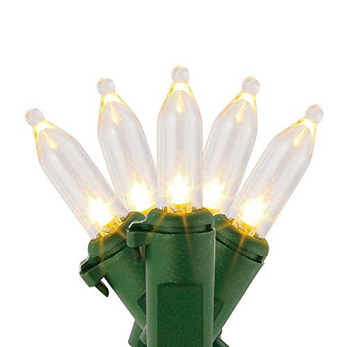 Home Accents Holiday 29.5 ft. 100-Light LED Mini Warm White String Light with Green Wire