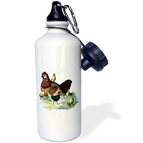 3dRose inchChickens n Hen Vintage Printinch Sports Water Bottle 21 oz White