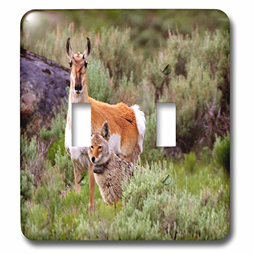 3dRose lsp_62362_2 Coyote n Antelope Share The Land Double Toggle Switch