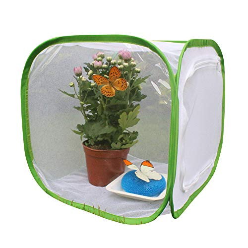 Wavel Collapsible Insect and Butterfly Habitat Net Cage Light Transmission Insect Cage Butterfly Grasshopper Seedling Incubator Mantis