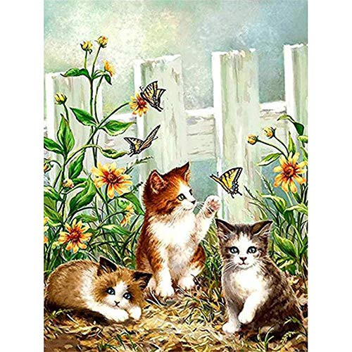 DIY 5D Diamond Painting by Number Kits for Home Wall Decor12x12inch DIY Full Round Drill Arts Craft Embroidery Kit Cross Stitch foe Adults C 1 Pack