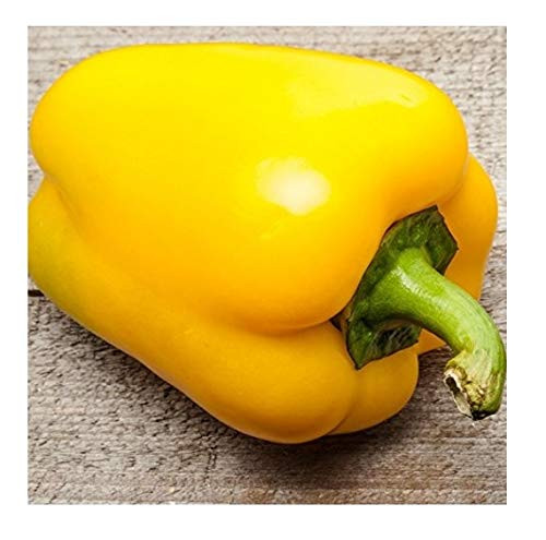 Davids Garden Seeds Pepper Bell Canary SL2300 Yellow 50 Non-GMO Heirloom Seeds Davids Garden Seeds Pepper Bell Canary SL2300 Yellow 50 Non-GMO Heirloom Seeds
