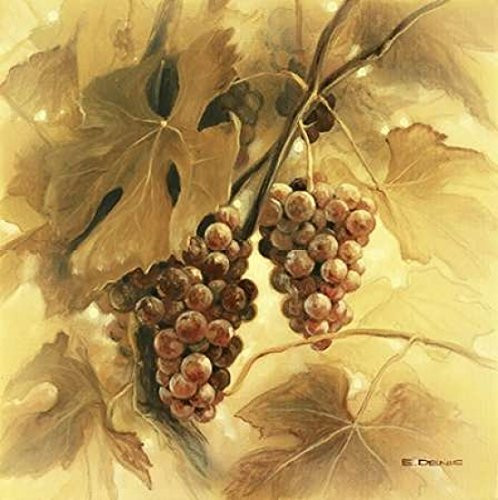 Posterazzi Grapes III Poster Print by E Denis 12 x 12