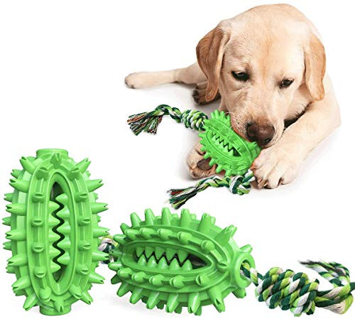 Dog Toothbrush Chew Toy - Indestructible Puppy Teething Toys - Interactive Dog Chew Toys for Aggressive Chewers Large Breed Small Medium Dogs for Release Anxiety100 percent Natural RubberGreen Dog Toothbrush Chew Toy - Indestructible Puppy Teething Toys - Interactive Dog Chew Toys for Aggressive Chewers Large Breed Small Medium Dogs for Release Anxiety100 percent Natural RubberGreen