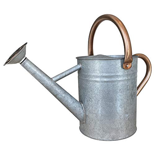 SunnyTong Galvanized Steel Watering Can Metal Watering Can for Outdoor Plants with Copper Accents 1 Gallon Sliver