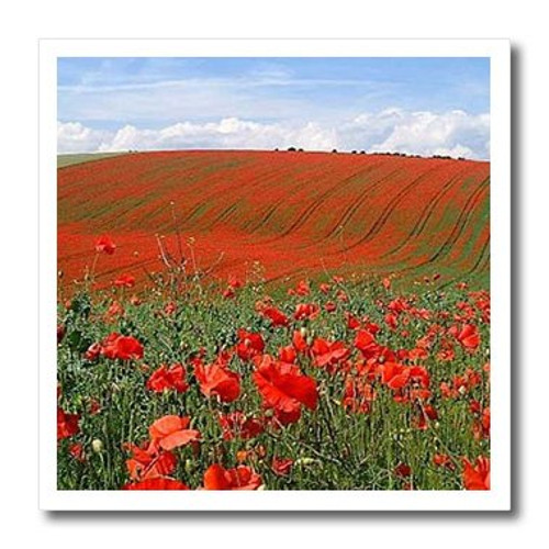 3dRose LLC Poppies 10 by 10-Inch Iron on Heat Transfer for White Material 3dRose LLC Poppies 10 by 10-Inch Iron on Heat Transfer for White Material