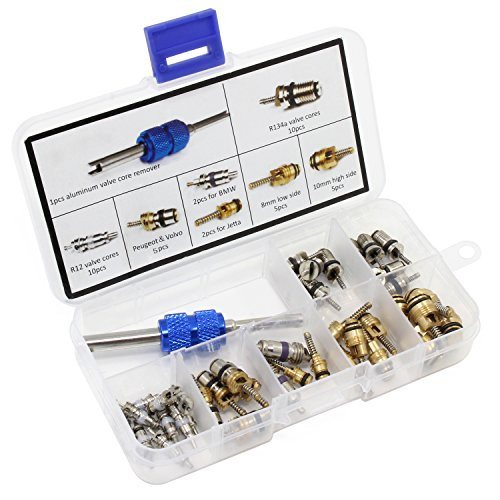 AuSL 40PCS AC Valve Core R12 R134a Automotive Air Conditioning Refrigeration Tire Valve Stem Cores Remover Tool Assortment Kit 40pcs