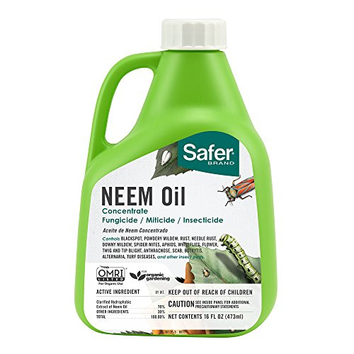 Safer Brand Neem Oil Concentrate, Green, 16 oz Safer Brand Neem Oil Concentrate, Green, 16 oz