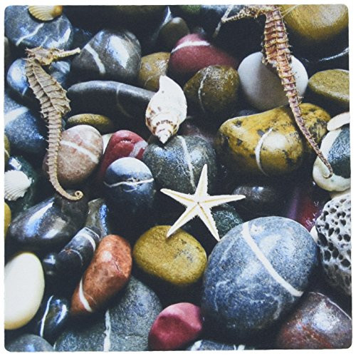 3Drose LLC 8 X 8 X 0.25 Inches Mouse Pad Seahorses Shells N Stones Mp_109993_1