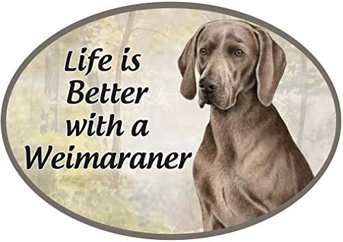 E and S Imports Dog Breed Magnets - Car Magnets - Refrigerator Magnets - Superior UV Protective Magnet- UV Protected - Weimaraner Gifts