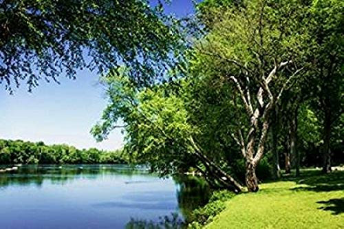 Posterazzi Spring On The River V Poster Print by Alan Hausenflock 10 x 14