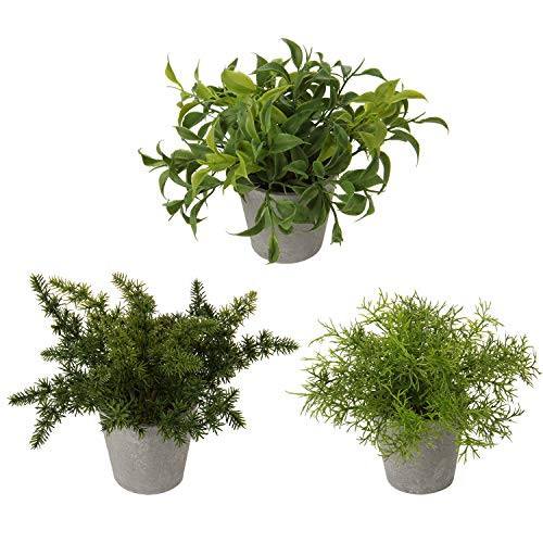 ND Artificial Plants Mini Artificial Potted Plants Faux Eucalyptus Plants Rosemary Greenery in Pots Small Houseplants for Indoor Greenery Home Office Desk Shower Room Decoration Green 03 ND Artificial Plants Mini Artificial Potted Plants Faux Eucalyptus Plants Rosemary Greenery in Pots Small Houseplants for Indoor Greenery Home Office Desk Shower Room Decoration Green 03