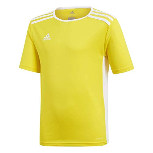 adidas Boys Entrada 18 Jersey YellowWhite Medium