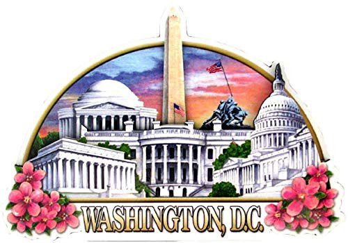 Washington D.C. Montage Artwood Fridge Magnet