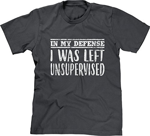 Blittzen Mens in My Defense I was Left Unsupervised 2XL Charcoal