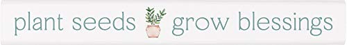 P. Graham Dunn Plant Seeds Blessings Classic White 10 x 1.5 Pine Wood Tabletop Stick Sign