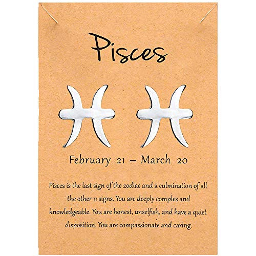 Pisces Zodiac Stud Earrings 12 Constellation Birth Months Tiny Astrology Horoscope Stud Earrings for Women Teen Sensitive Ears