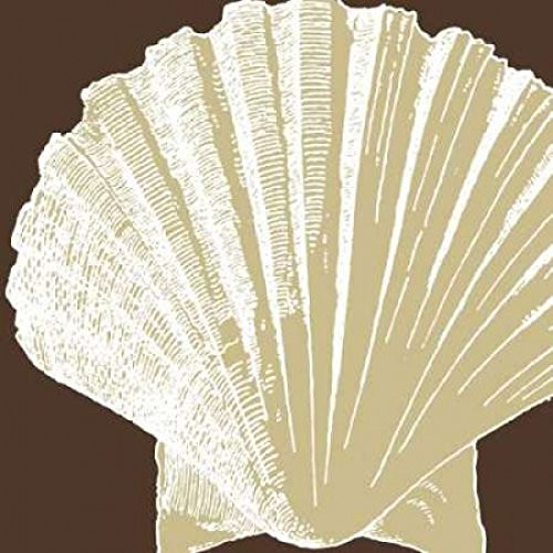 Posterazzi Natural Shell IV Poster Print by N Harbick 12 x 12