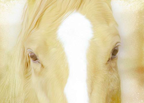 Posterazzi Collection Innocent Eyes of A Horse Poster Print by A.V. Art 10 x 14