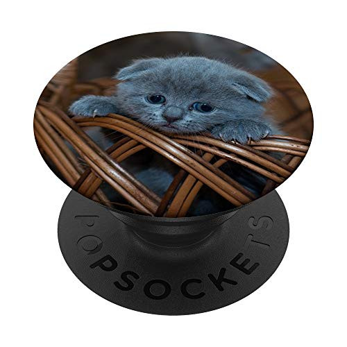 Scottish Fold Gray Kitten Cat Lover PopSockets Grip and Stand for Phones and Tablets Scottish Fold Gray Kitten Cat Lover PopSockets Grip and Stand for Phones and Tablets