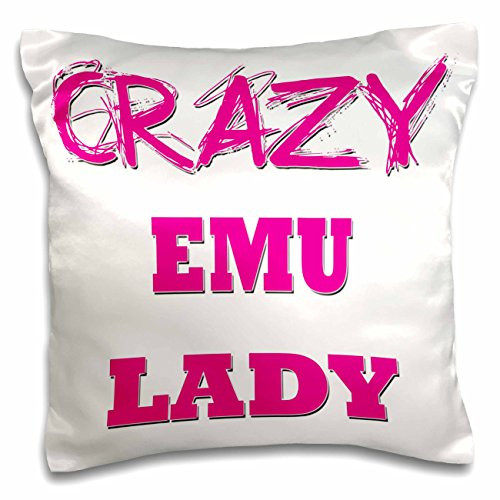 3dRose pc_175041_1 Crazy Ferret Lady Pillow Case, 16" x 16"