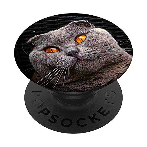 Scottish Fold Cat Lovers Gray for Cat Lovers Pet Owners PopSockets Grip and Stand for Phones and Tablets Scottish Fold Cat Lovers Gray for Cat Lovers Pet Owners PopSockets Grip and Stand for Phones and Tablets