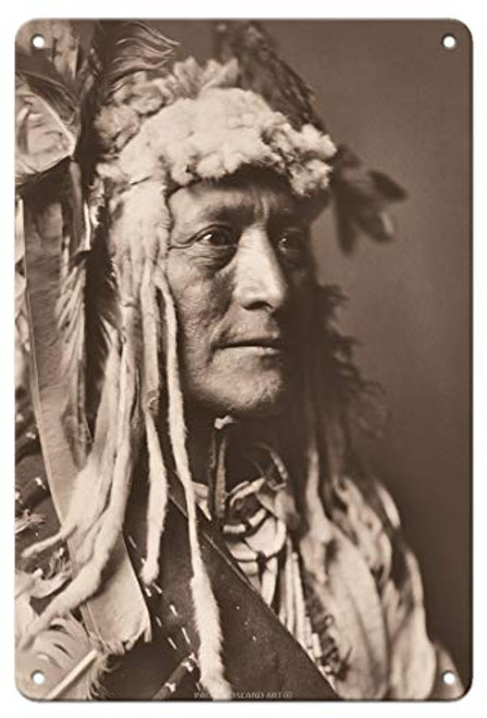 Pacifica Island Art Hidatsa Man Wearing White Duck Headdress - North American Indian - Vintage Photograph by Edward S. Curtis c.1908-8in x 12in Vintage Metal Tin Sign Pacifica Island Art Hidatsa Man Wearing White Duck Headdress - North American Indian - Vintage Photograph by Edward S. Curtis c.1908-8in x 12in Vintage Metal Tin Sign