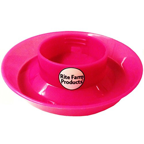 Rite Farm Products Pink Waterer Base for Poly/Glass Quart JAR Poultry Chicken Drinker