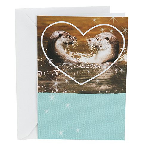Hallmark Shoebox Funny Love Card, Anniversary Card, or Birthday Card Meant for Each Otter