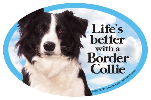 Prismatix Border Collie Oval Dog Magnet for Cars